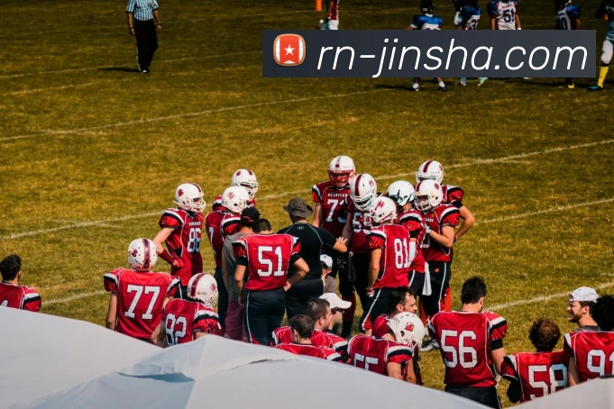 金沙官网平台生态图